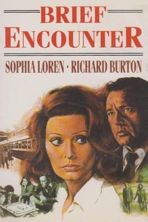 Brief Encounter 1974 Dual Audio | Hindi Full Movie BluRay [1.3GB]