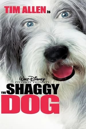 The Shaggy Dog (2006) Dual Audio | Hindi Full Movie BluRay [950MB]
